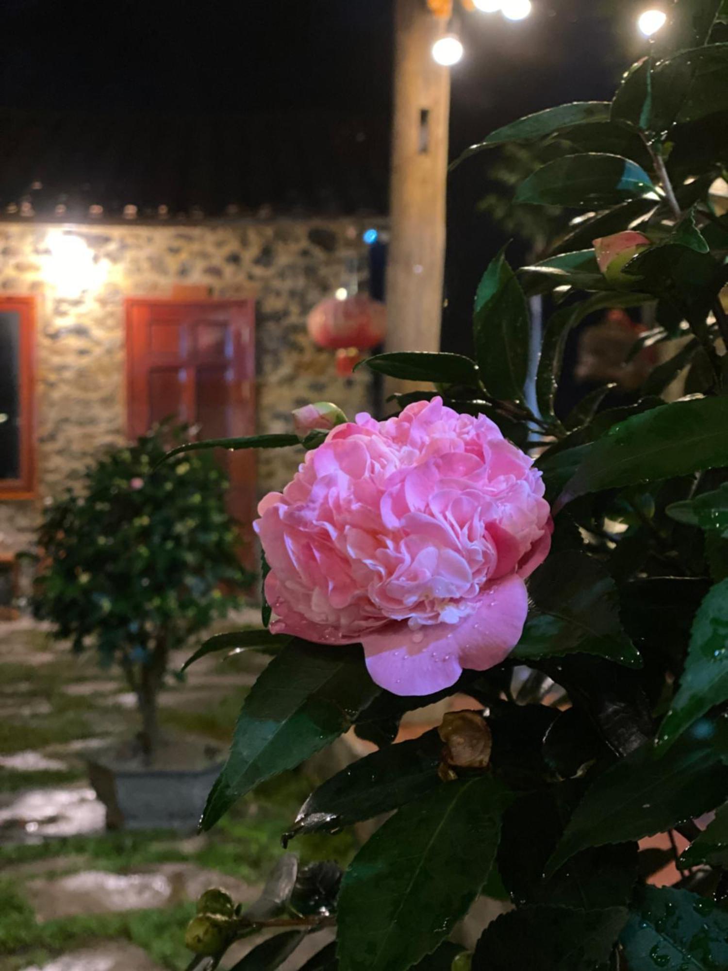 Lan Rung Homestay Lung Nieo Exteriör bild